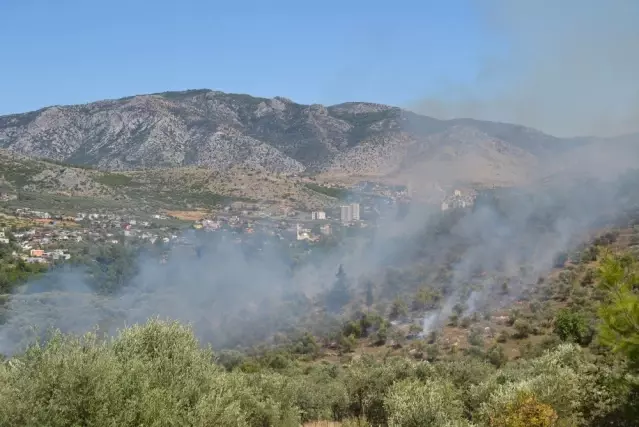 Kozan'da Orman Yangını - Son Dakika