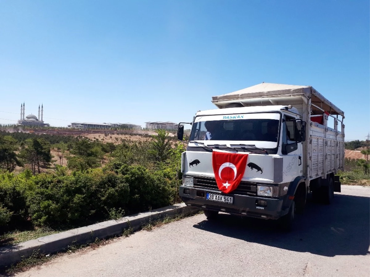 Doları Yok Diye Ekmek Teknesini Bağışlıyor