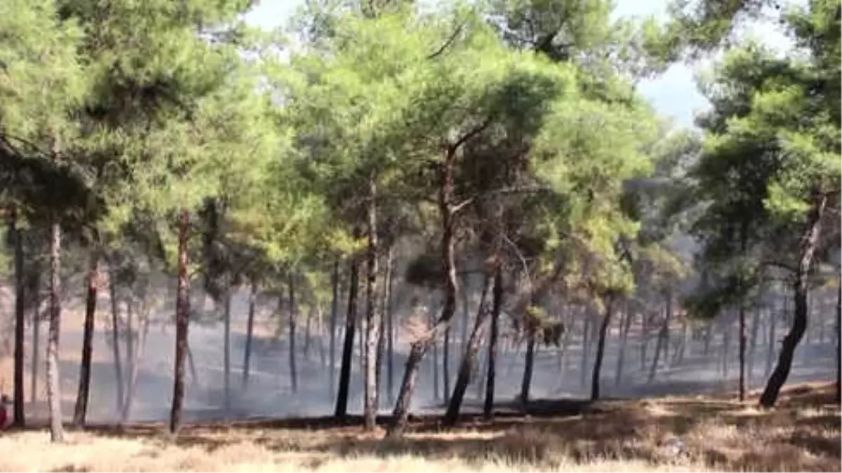 Hatay\'da Mesire Alanında Yangın