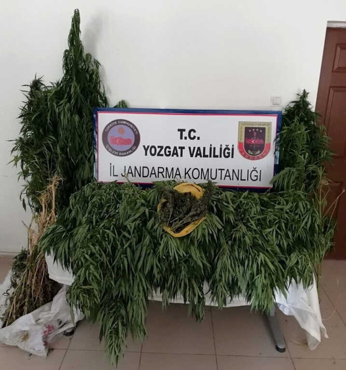 Jandarma 86 Kök Hint Keneviri Ele Geçirdi