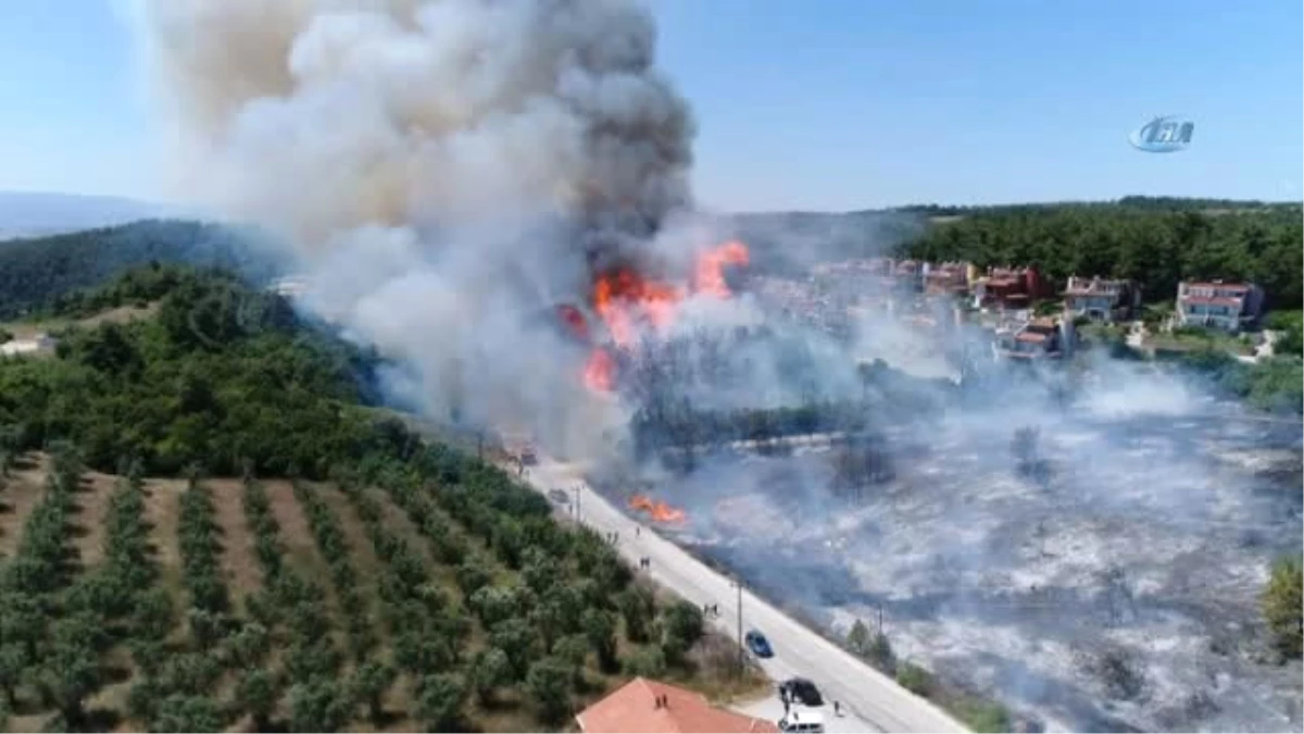 Kül Olan Ormana Çabuk Tutuşmayan Ağaçlar Dikilecek