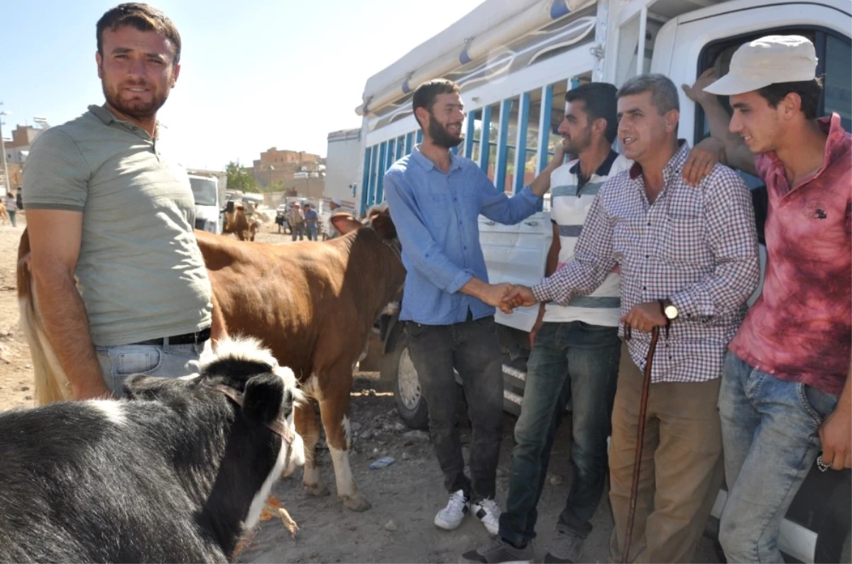 Kurbanlıklar Pazardaki Yerini Aldı