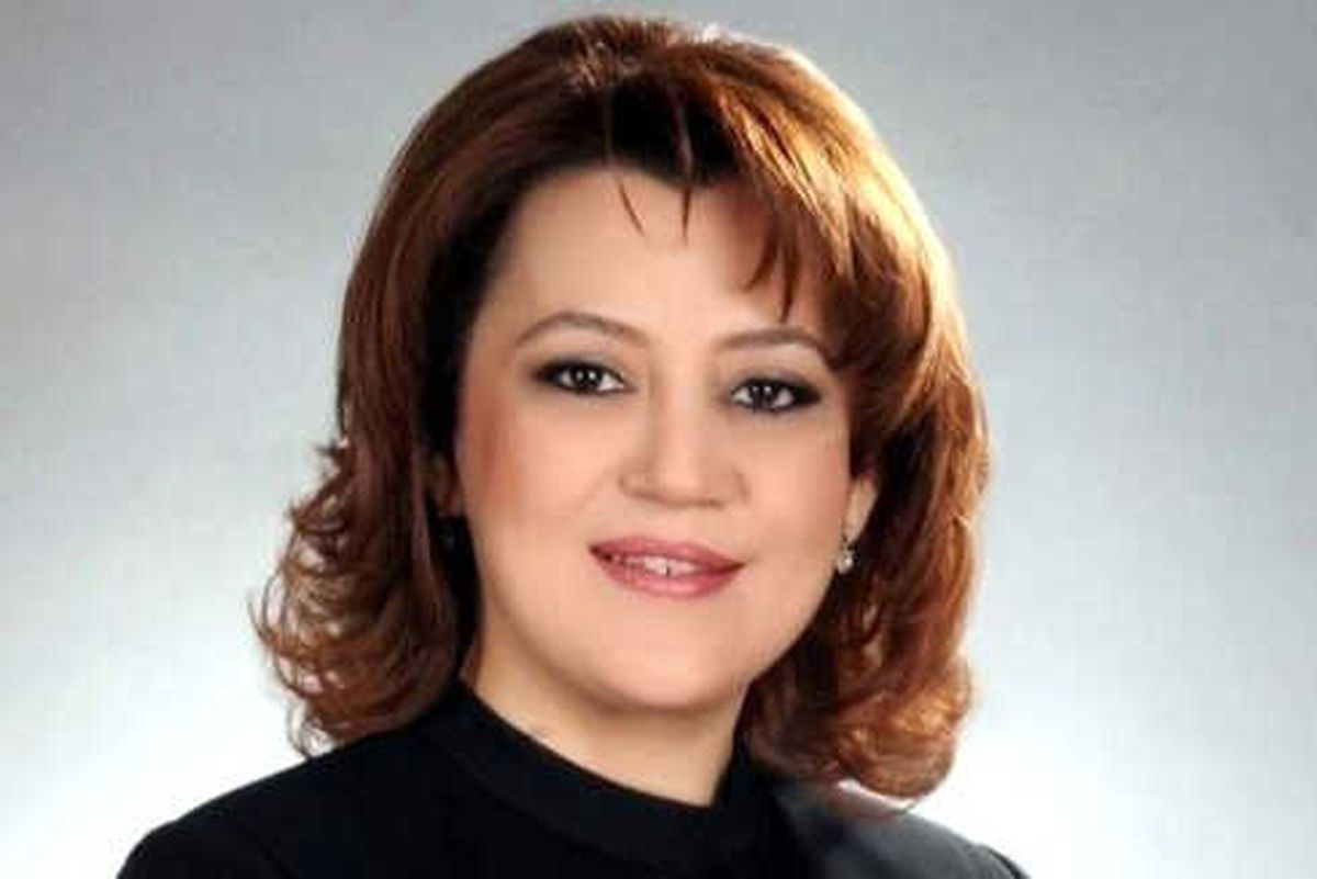 Milletvekili Ceyda Çetin Erenler: Emet\'teki Asit Tankı Olayında Korkulacak Bir Durum Yok