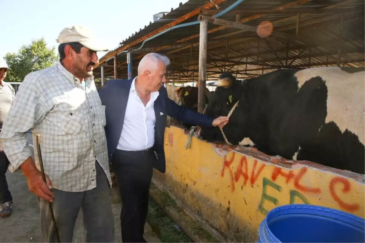 Nilüfer Kurban Bayramına Hazır