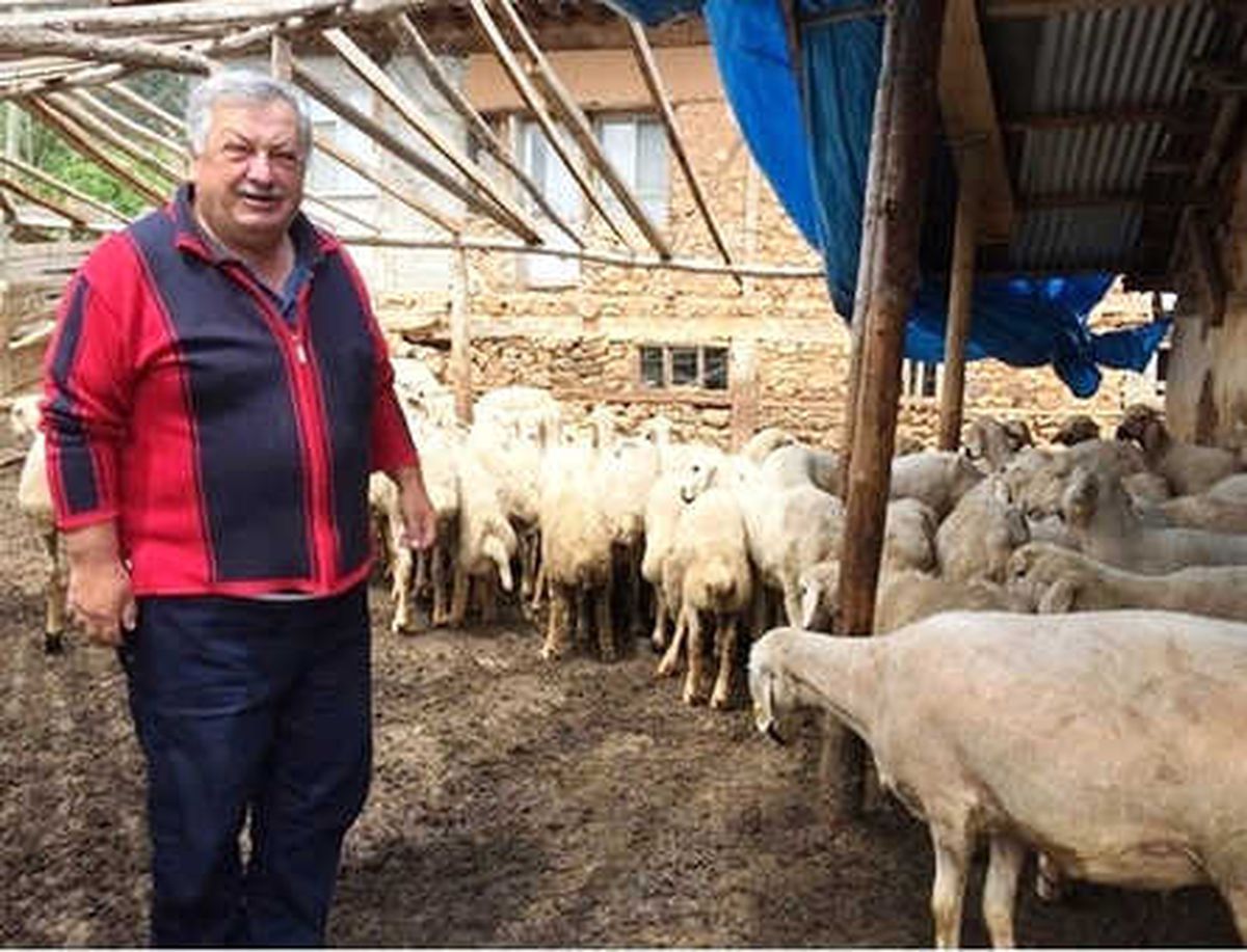 Orman Köylüsüne Destek Artarak Devam Ediyor