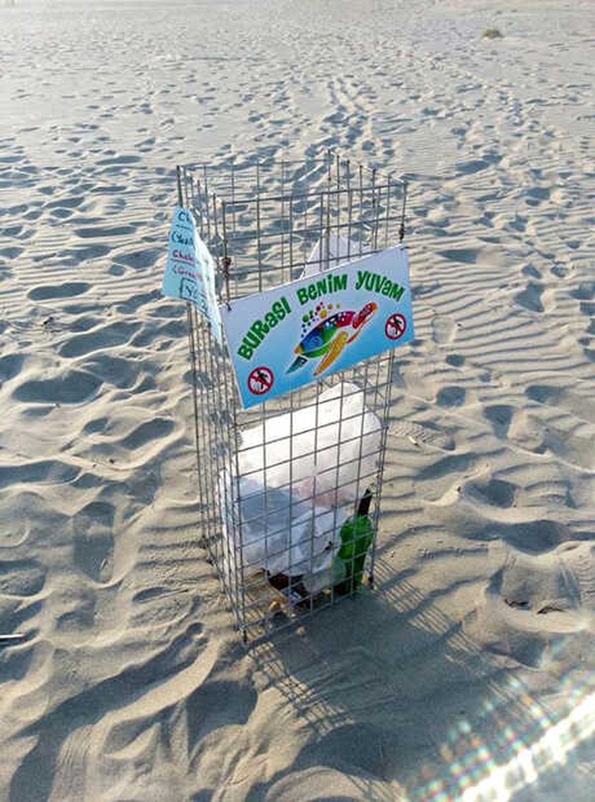 Profesörden Caretta Caretta Yuvalarına Çöp Atılıp, Külot Asılmasına Tepki