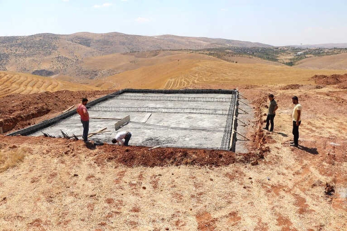 Siirt\'te Sokak Hayvanları İçin Barınak Yapımına Başlandı