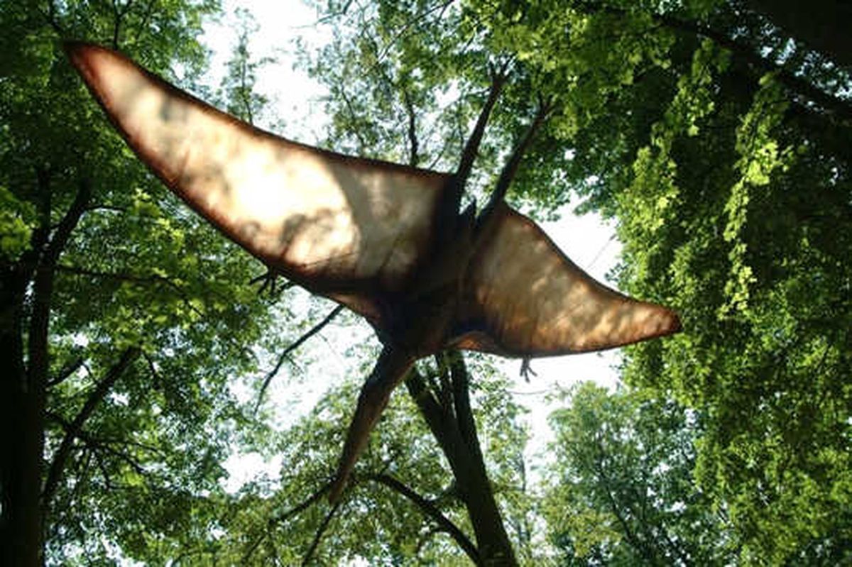 ABD\'de Yeni Bir Uçan Dinozor Türü Keşfedildi