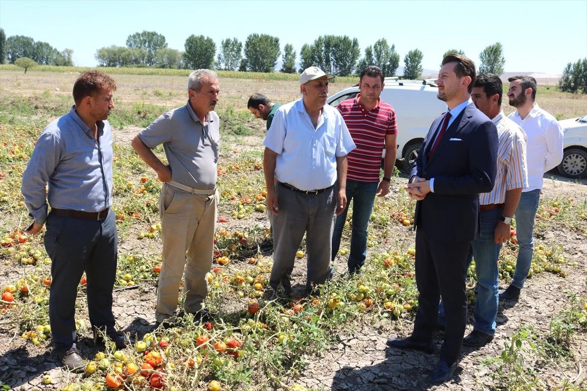 AK Parti Odunpazarı İlçe Başkanı Doğan\'dan Ağapınar Çiftçilerine Ziyaret