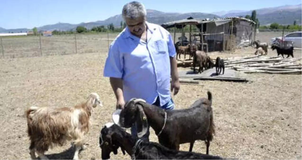 Isparta\'nın Şampiyon Takımı, Futbolcularını Satıp Keçi Aldı