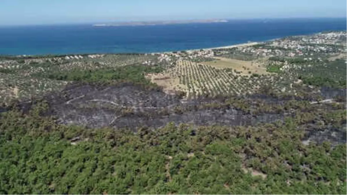 Çanakkale\'de Yanan Ormanlık Alan Havadan Görüntülendi