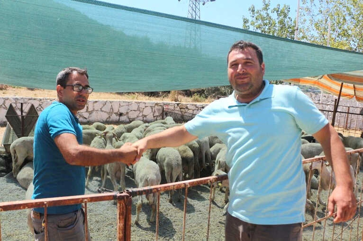 Kuşadası\'nda Kurban Bayramı Hazırlıkları Tamamlandı