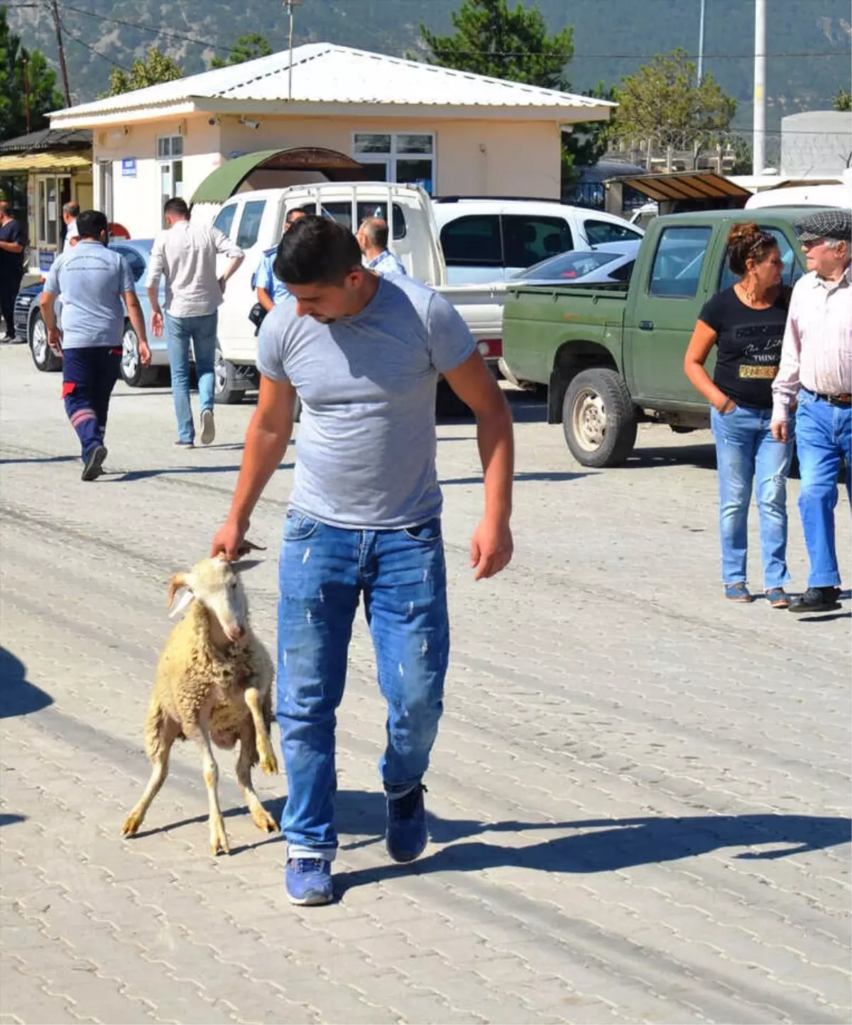 Kütahya\'da Canlı Hayvan Pazarı Açıldı