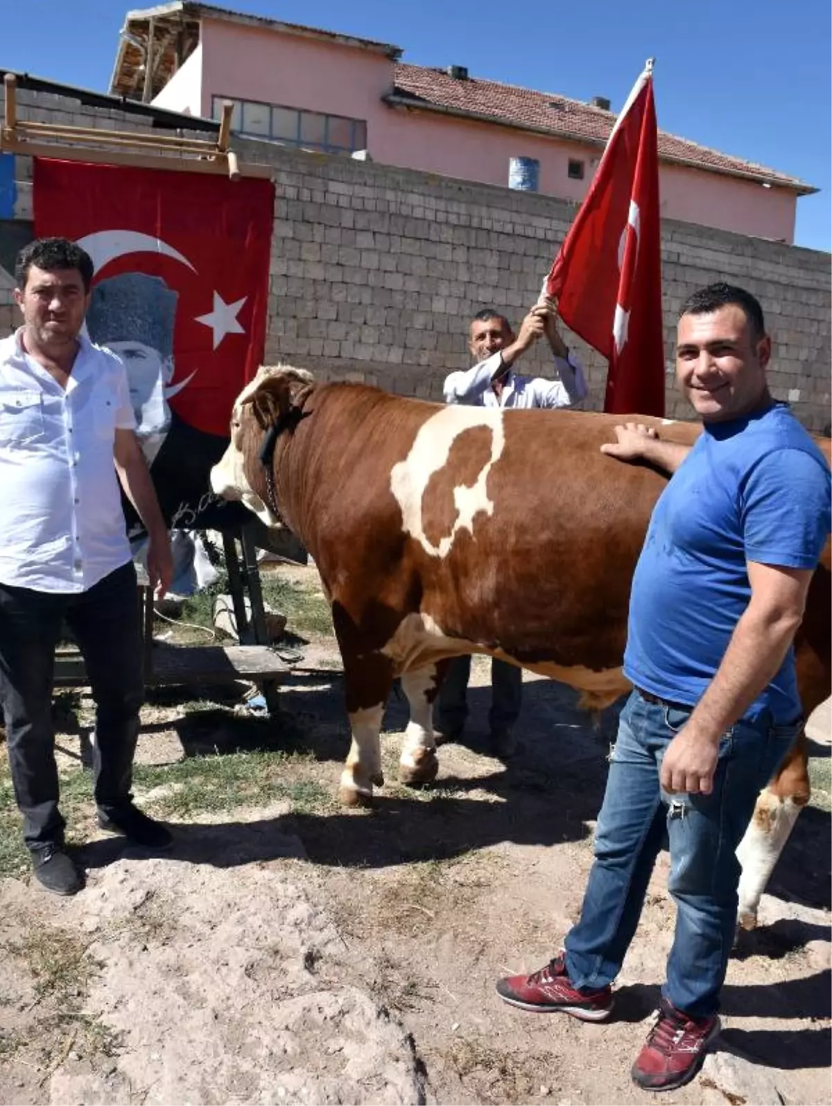 850 Kiloluk Ay-yıldızlı Boğayı, Erdoğan\'a Hediye Edecekler