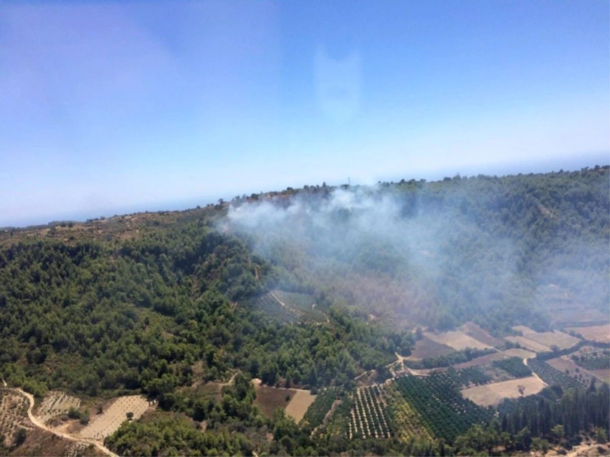 Alanya\'daki Orman Yangını Kontrol Altına Alındı