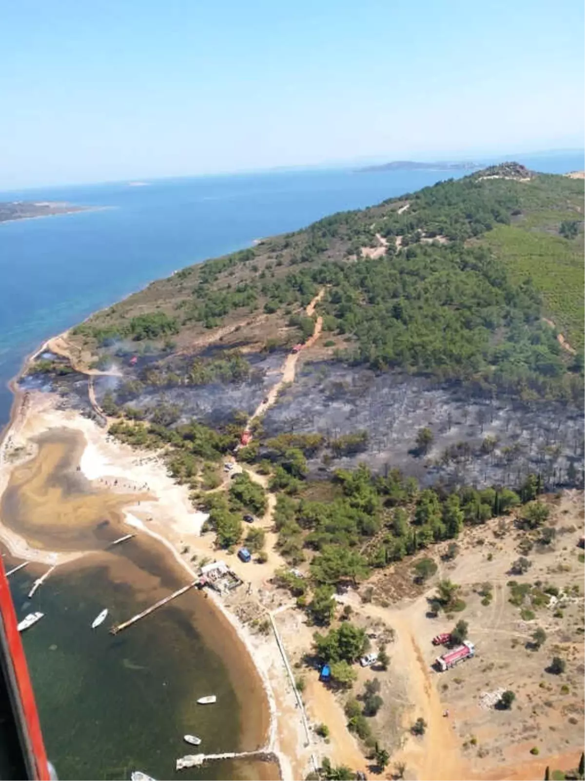 Ayvalık\'taki Orman Yangını Söndürüldü