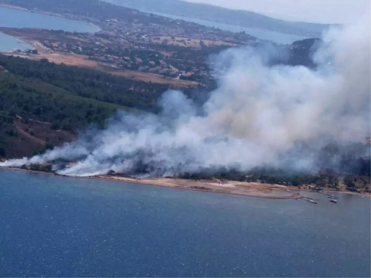 Cunda Adasında Orman Yangını