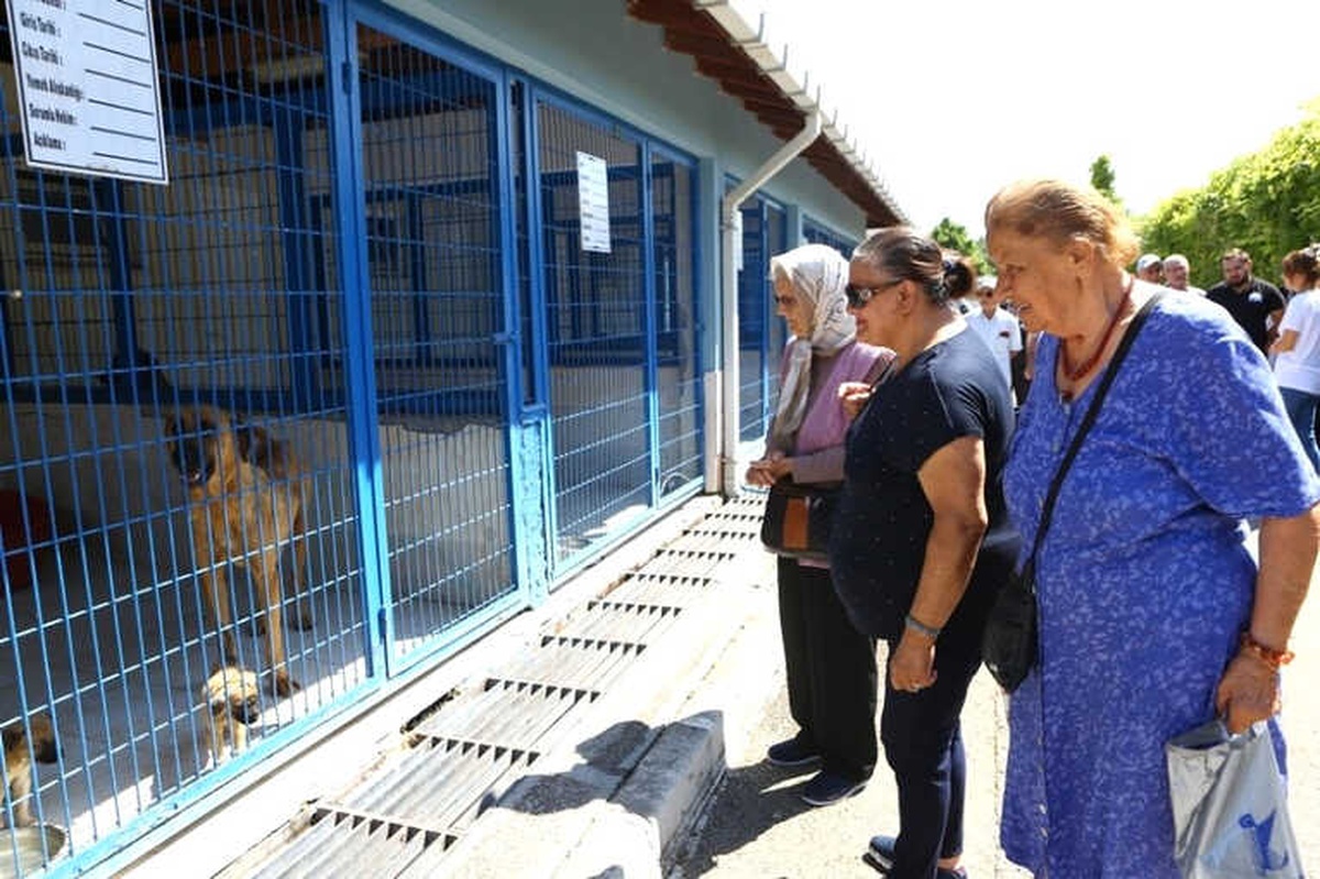 Huzurevi Sakinlerinden Can Dostlara Destek