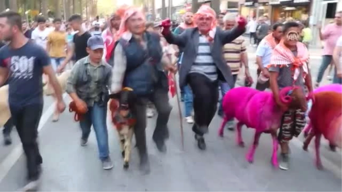 Mora Boyanan Koyunlarla Kortej Yürüyüşü