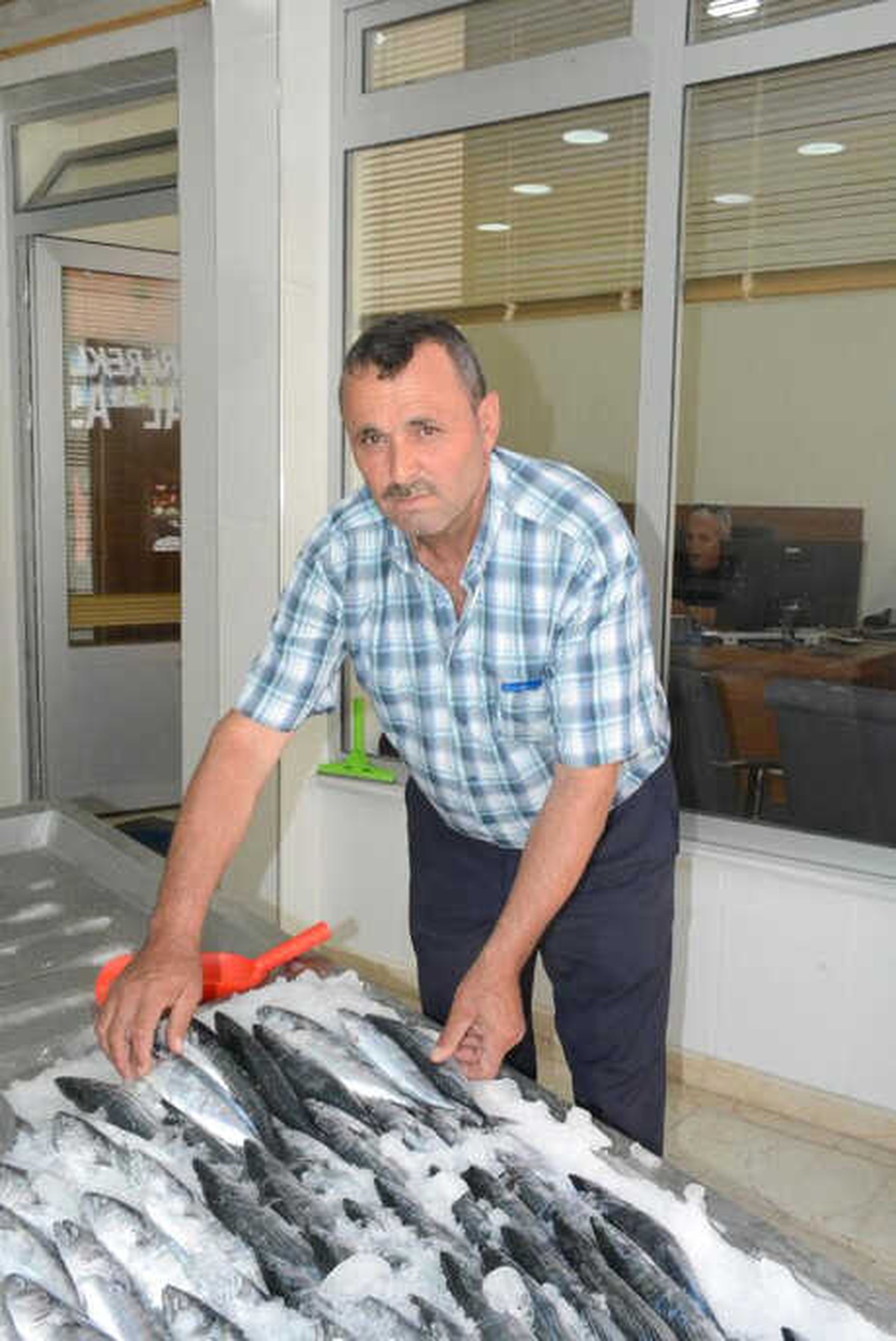 Sezonun İlk Palamutları Tanesi 7.5 Liradan Tezgahta
