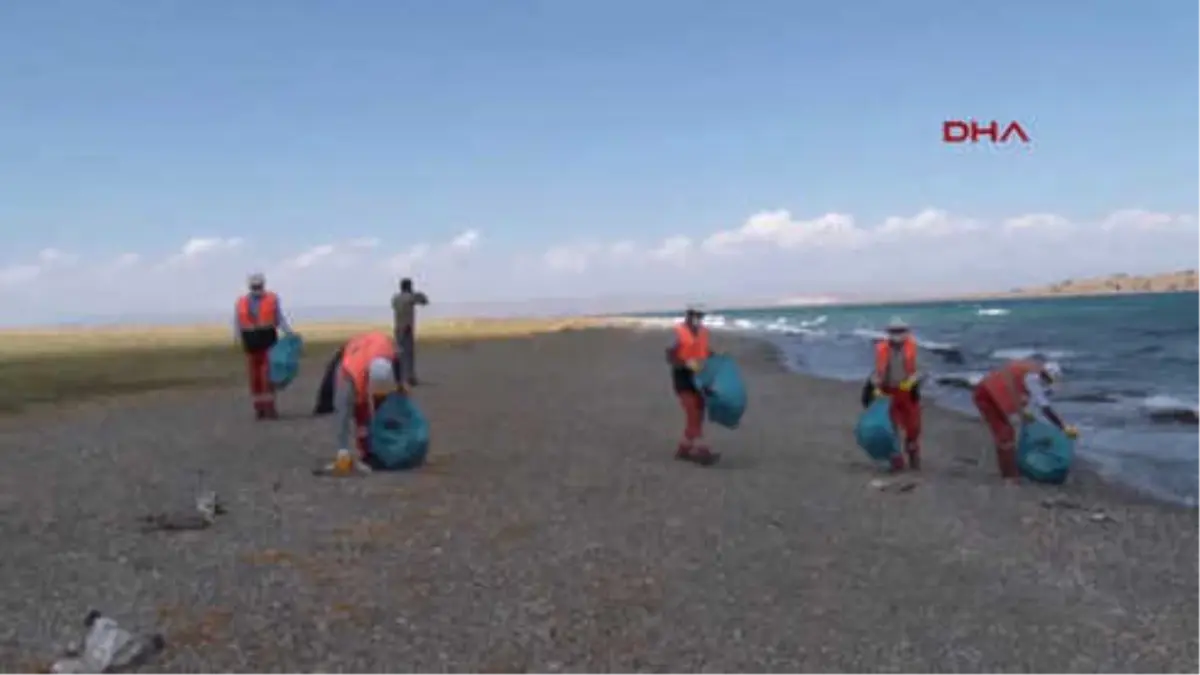 Van Van Gölü Kıyısına Vuran Martı Ölüleri Toplandı Hd