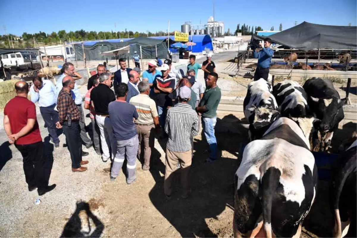 Başkan Pekyatırmacı, Kurban Pazarında İncelemelerde Bulundu