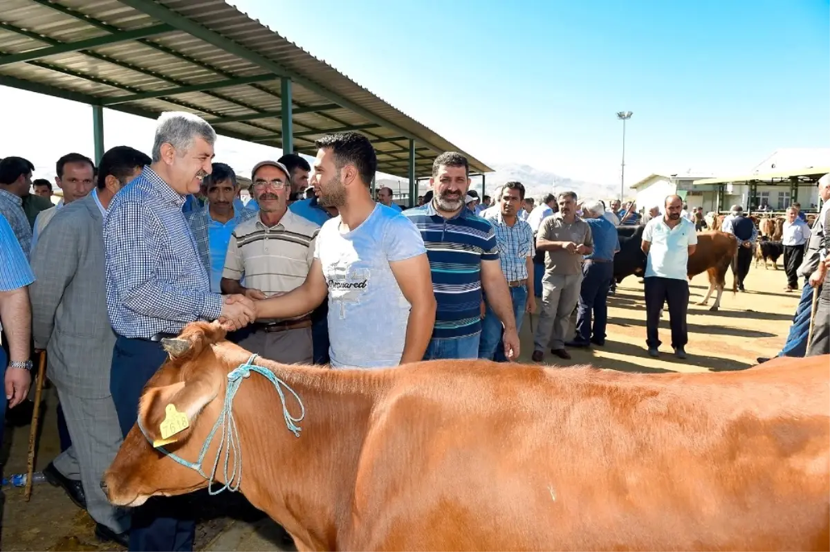 Büyükşehir, Hayvan Pazarı\'nda Önlemler Aldı