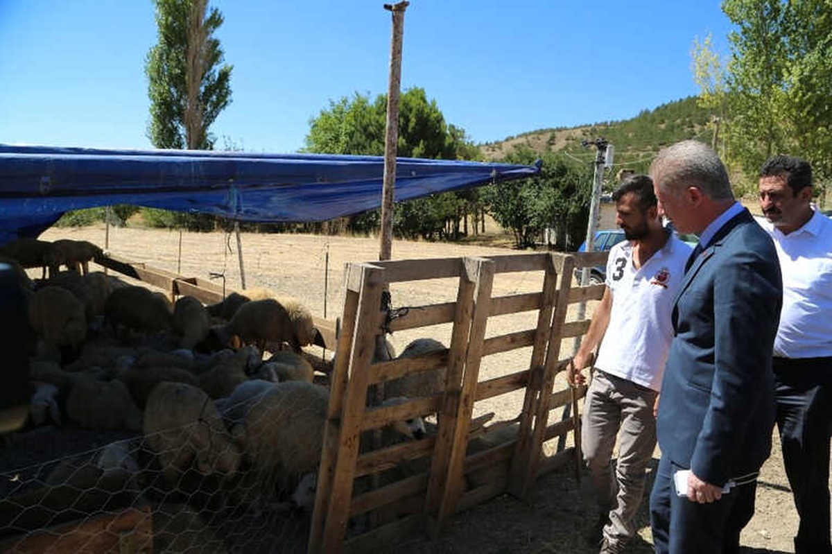 Elde Kalan Kurbanları Et ve Süt Kurumu Alacak