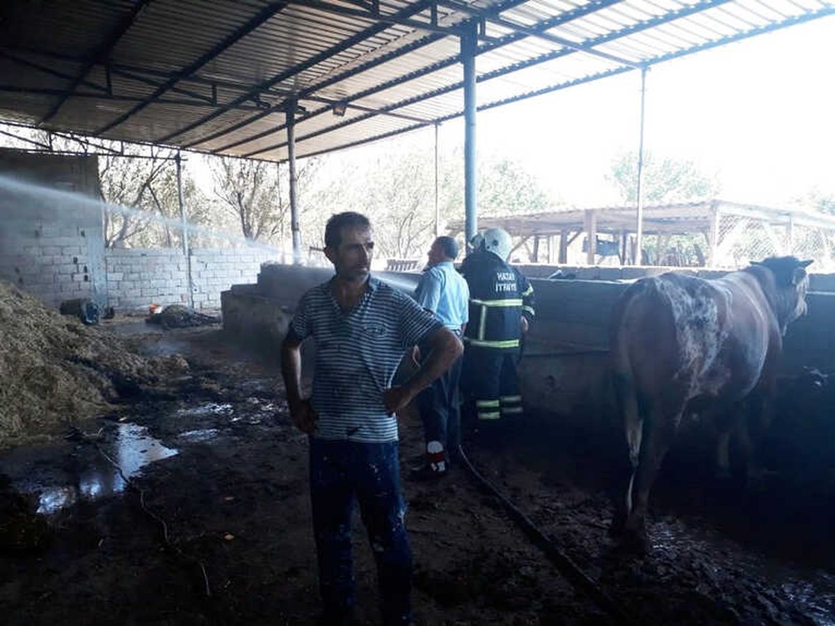 Hatay\'da Ahırda Yangın Çıktı