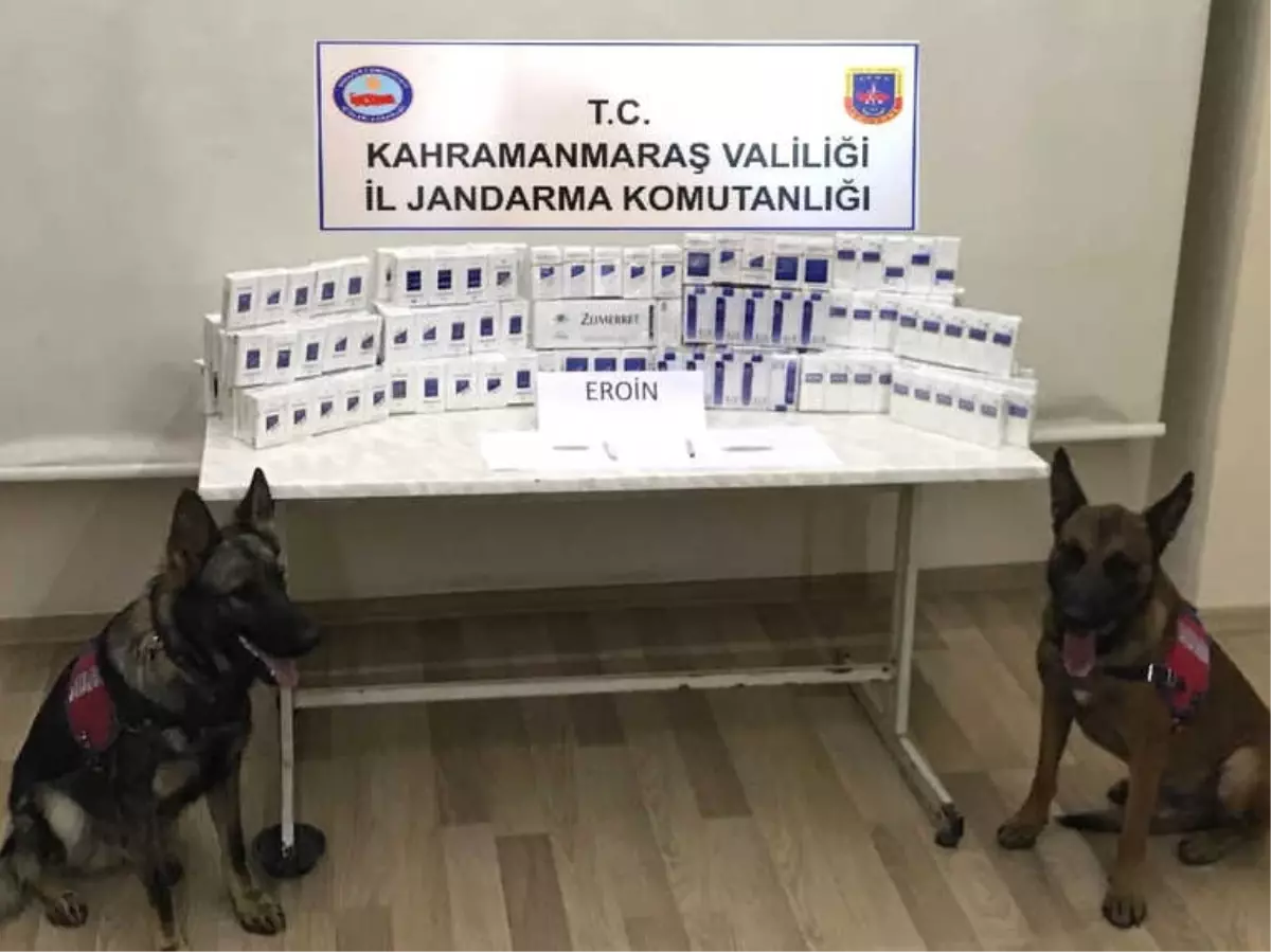 Jandarmadan Huzur Operasyonu: 12 Şahıs Yakalandı