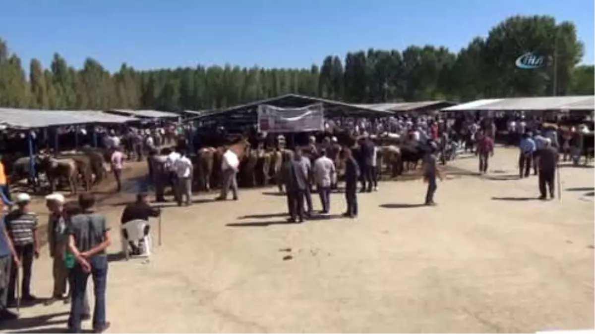 Kurban Bayramının Yaklaşmasıyla Kurban Pazarı Hareketlendi