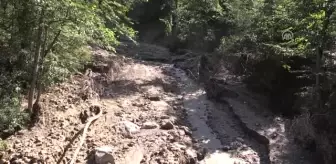 Ordu'daki Şiddetli Yağışın Ardından - Çaybaşı Belediye Başkanı Yanık