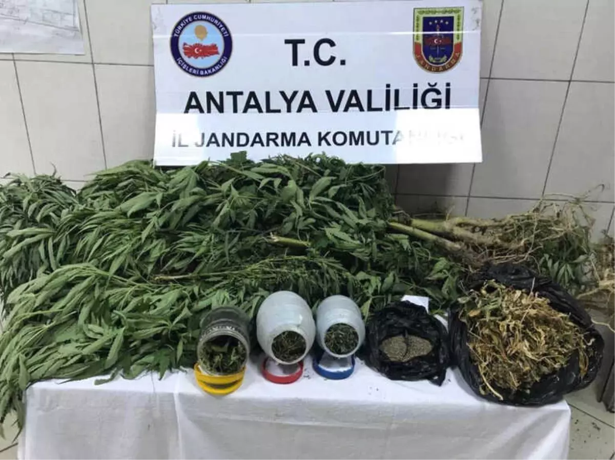 Uyuşturucu Operasyonunda 1 Kişi Gözaltında