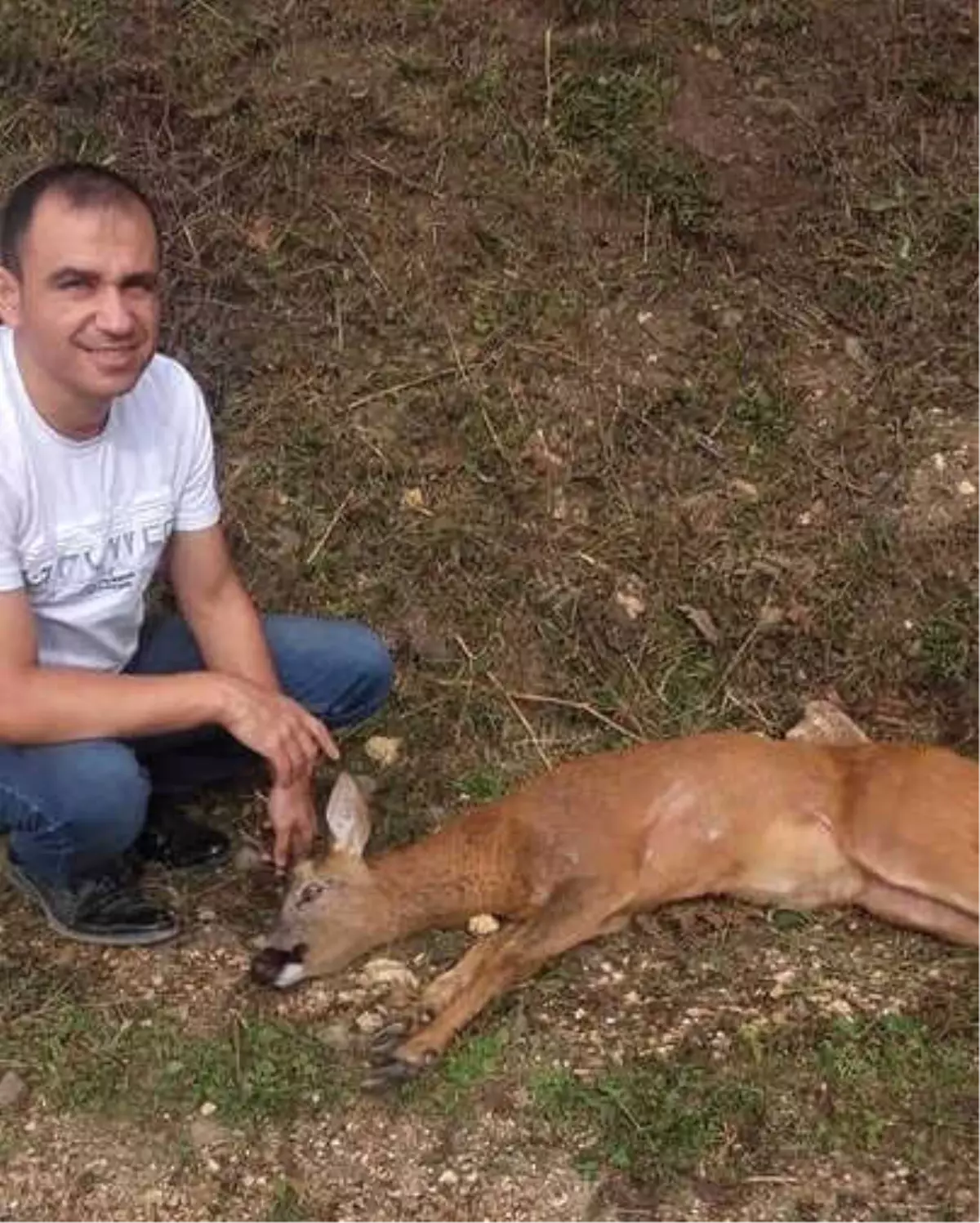 Yaralı Karacaya Vatandaş Şefkati