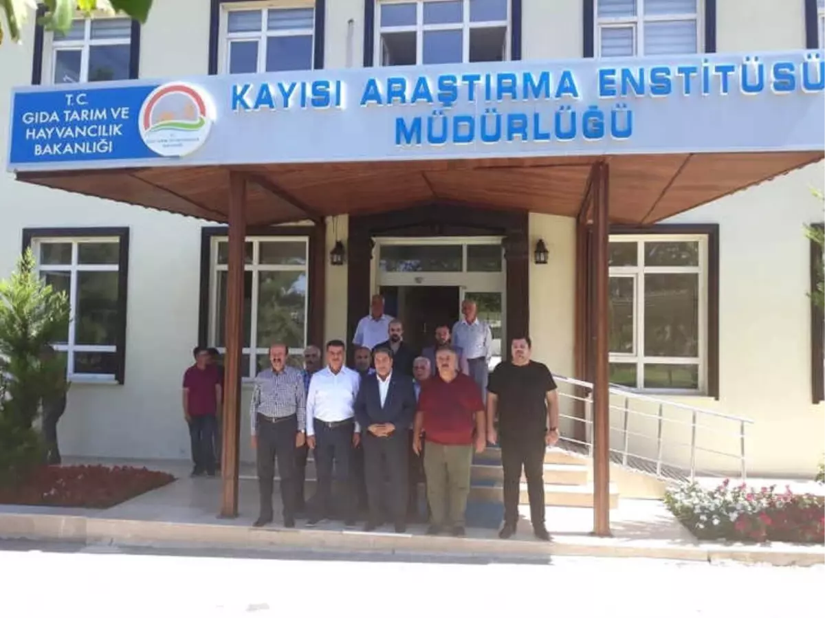2019 \'Dünya Kayısı Sempozyumu\' Malatya\'da Yapılacak