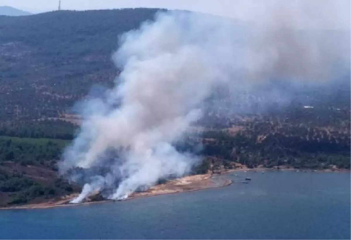 Ayvalık\'taki Yangınlarla İlgili Gözaltına Alınanlar Serbest