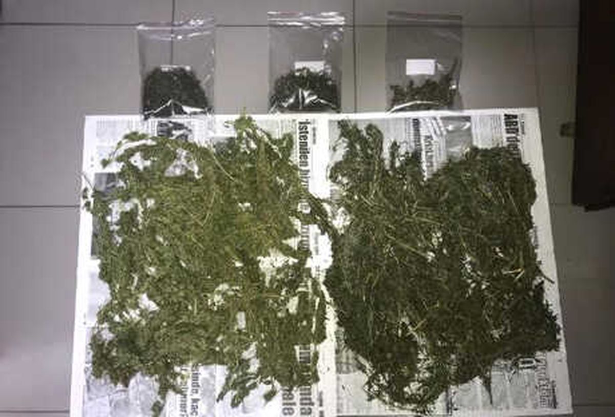 Bafra\'da 1 Kilo 100 Gram Kubar Esrar Bulundu