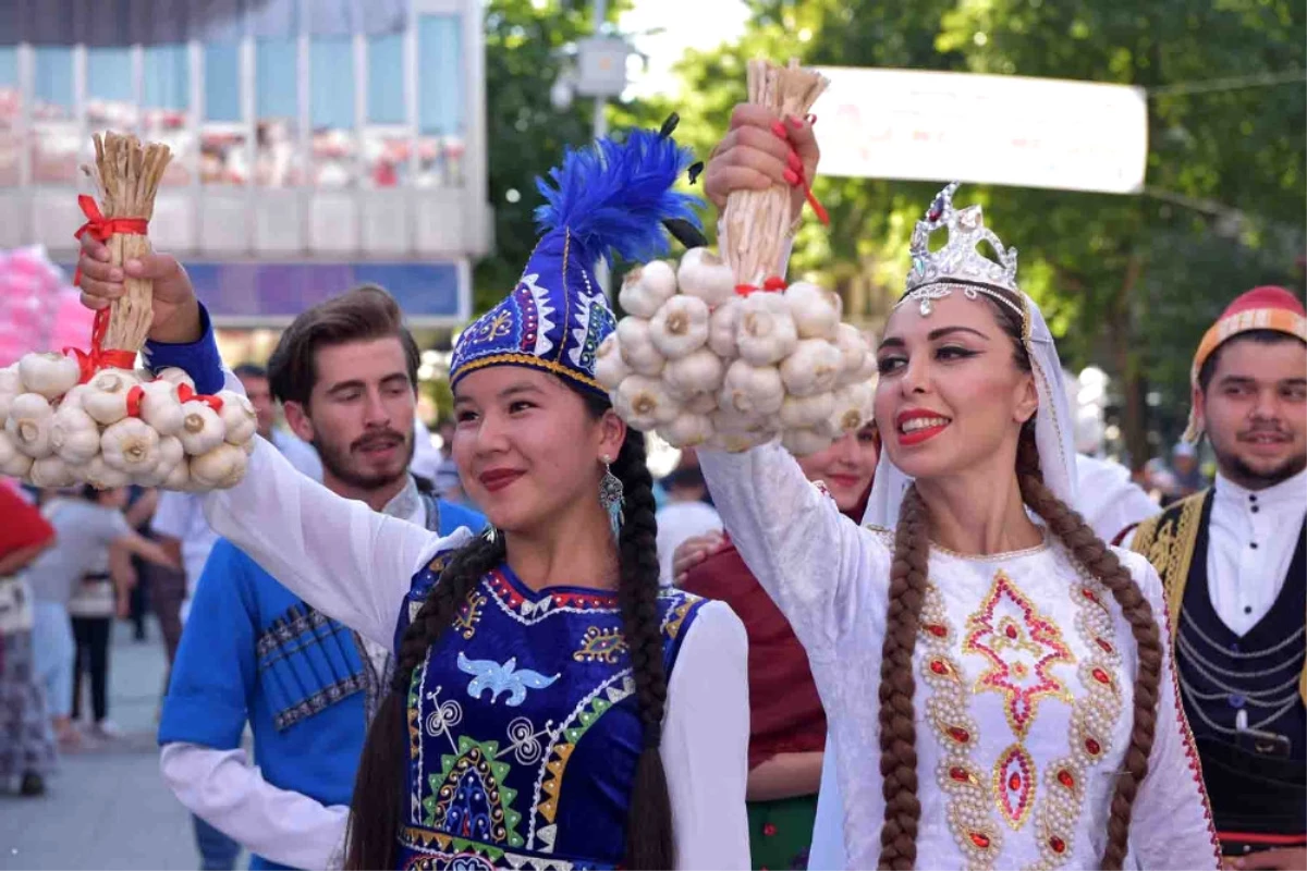 Dünyaca Ünlü Sarımsağın Festivali Başladı