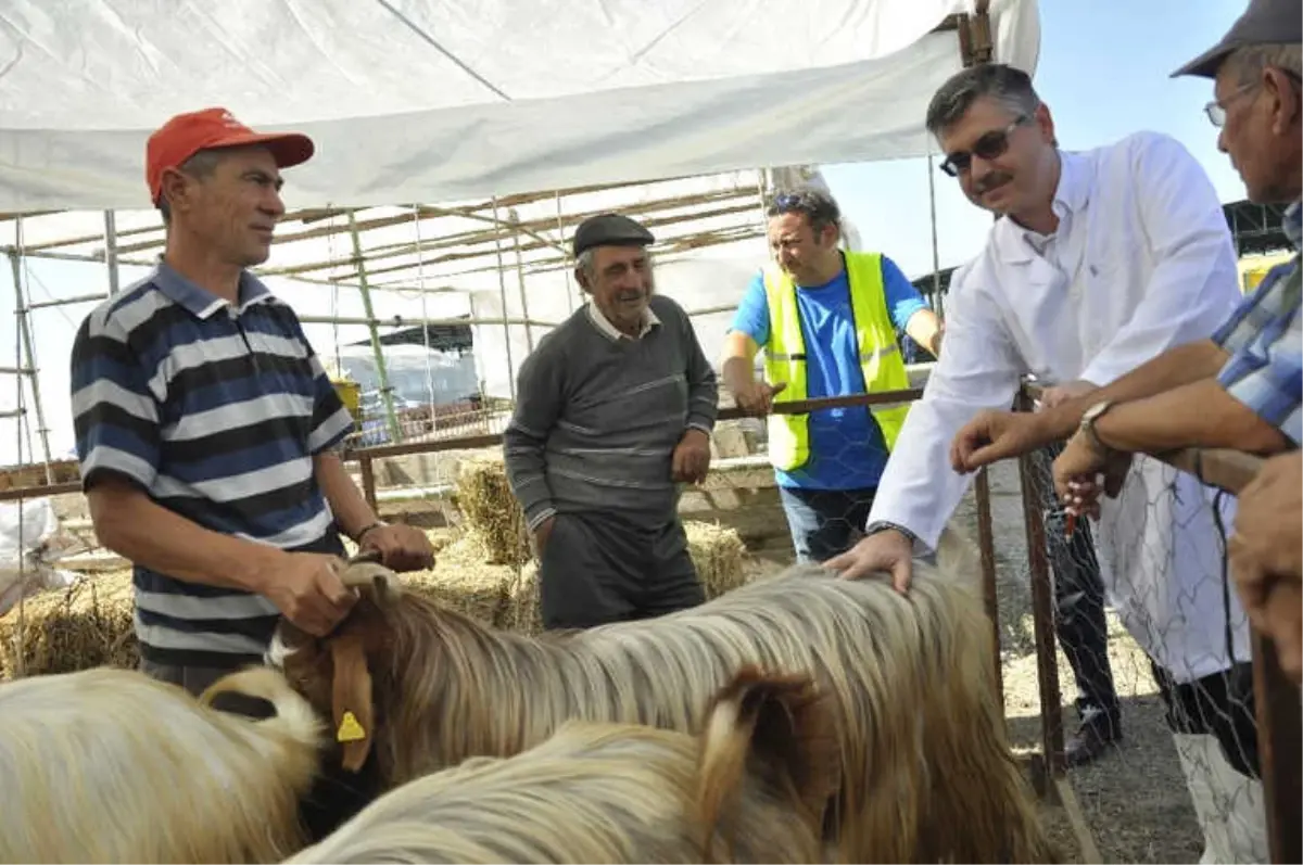 Eskişehir\'de Hayvan Pazarı ve Kurban Kesim Yerlerinde Kontrol Noktaları Oluşturuldu