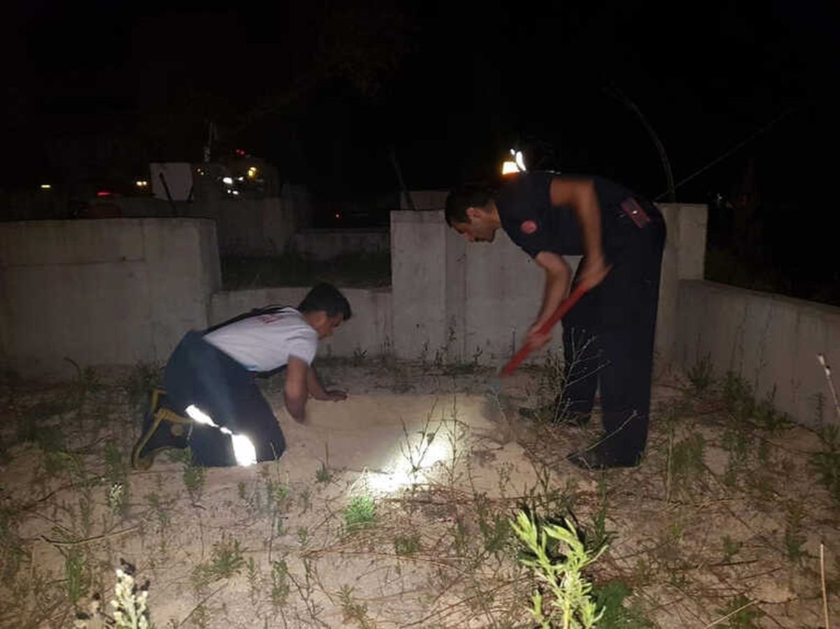 Kanala Düşen Yavru Kedi Kurtarıldı