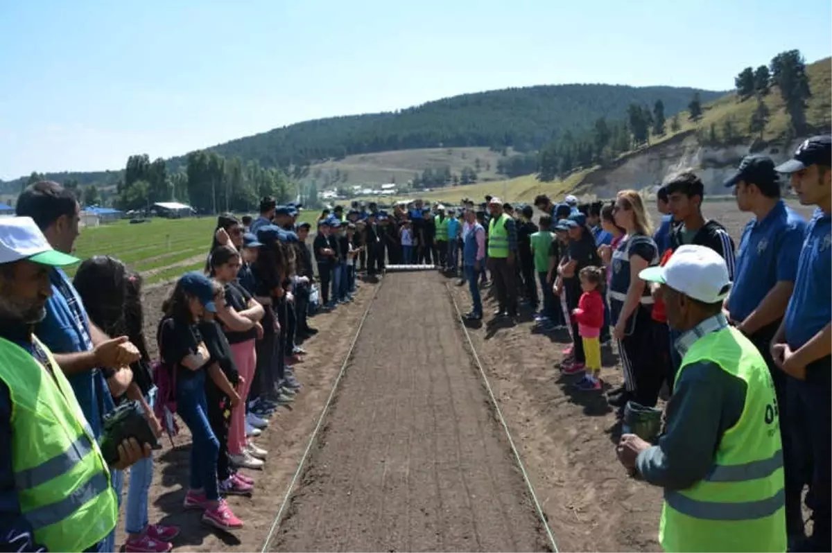 Kars\'ta, Polis Çocuklarla Ağaç Dikti