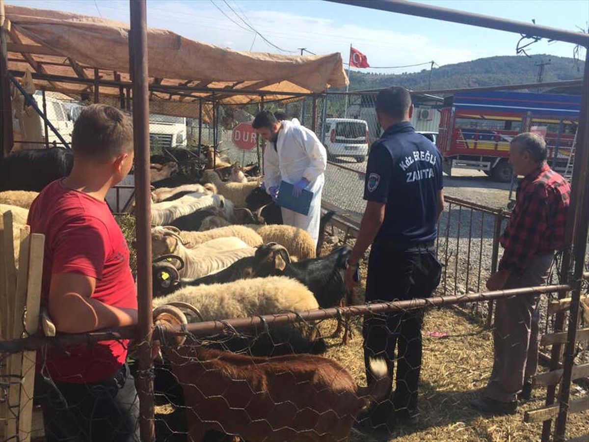 Kurban Bayramı\'na Doğru