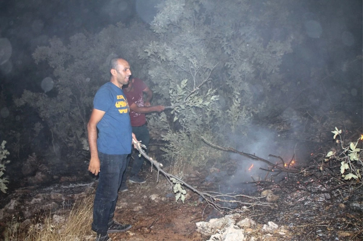 Midyat\'ta Korkutan Orman Yangını
