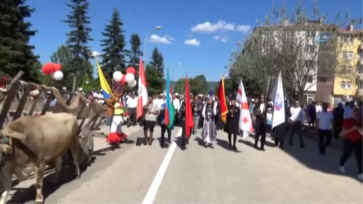 Taşköprü\'de Dünyaca Ünlü Sarımsağın Festivali Başladı