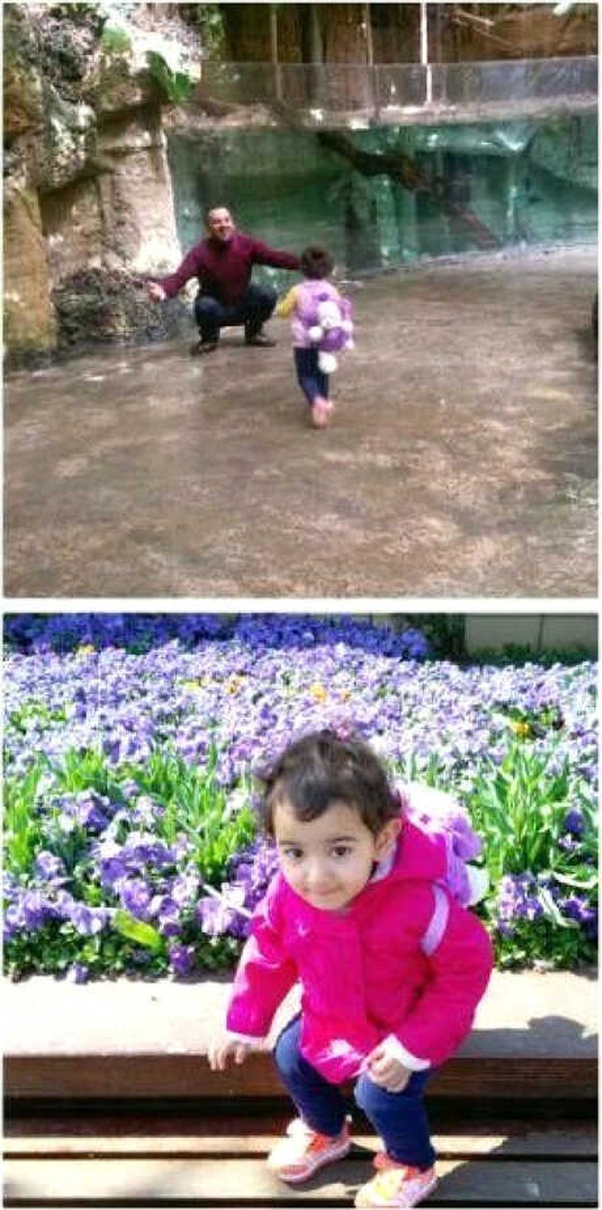 Van\'daki Kazada Ölen 3 Kişilik Ailenin Cenazeleri Toprağa Verildi