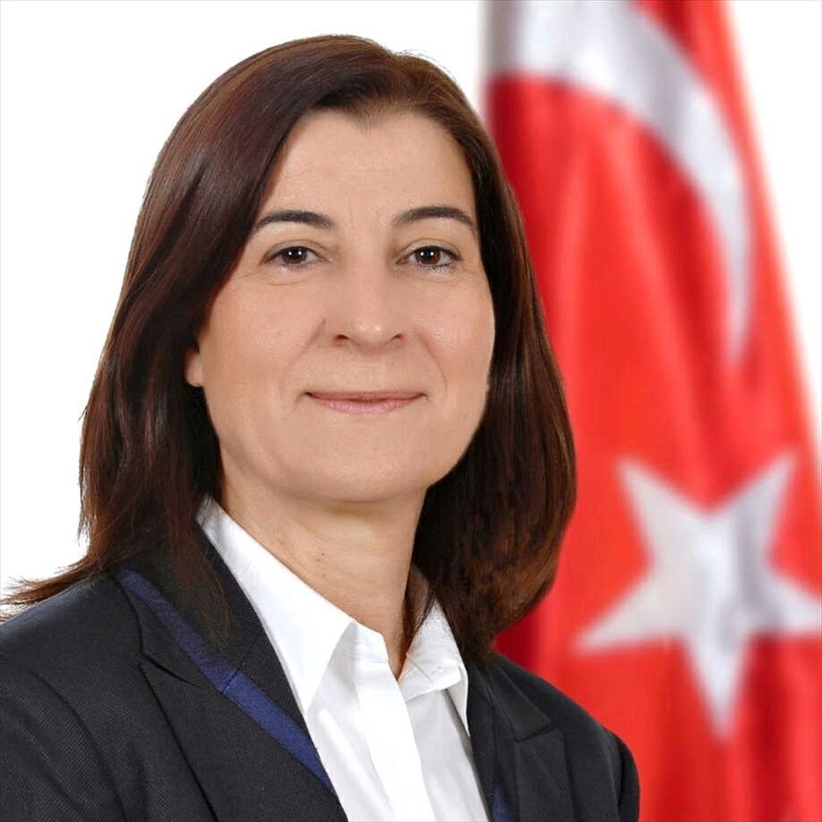 AK Parti Edirne Milletvekili Aksal, Mkyk\'de