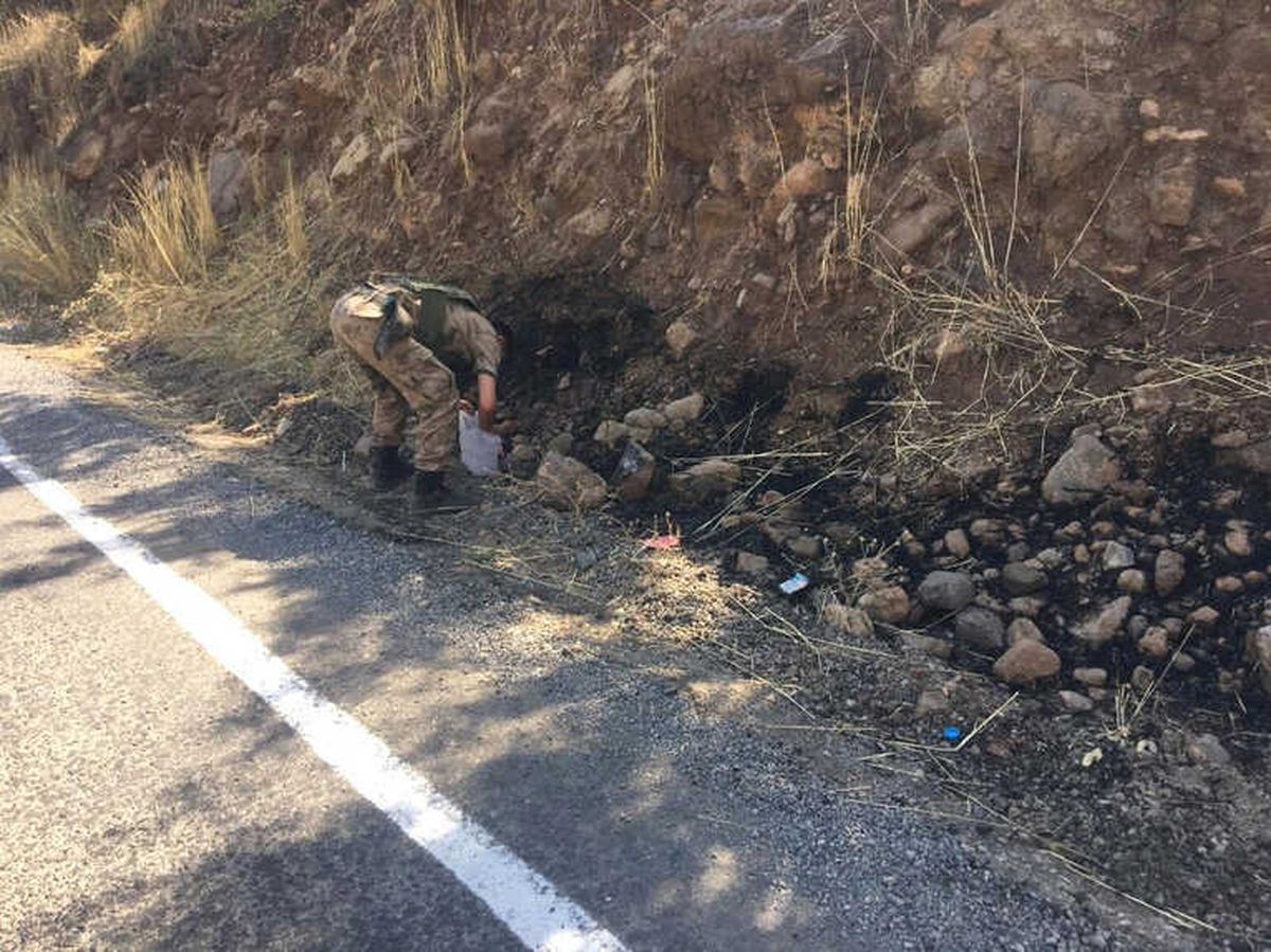 Beytüşşebap\'ta Orman Yangını