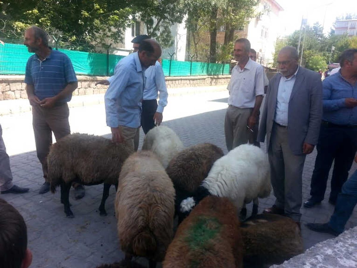 Bulanık\'ta Kurbanlık Satışlarında Durgunluk