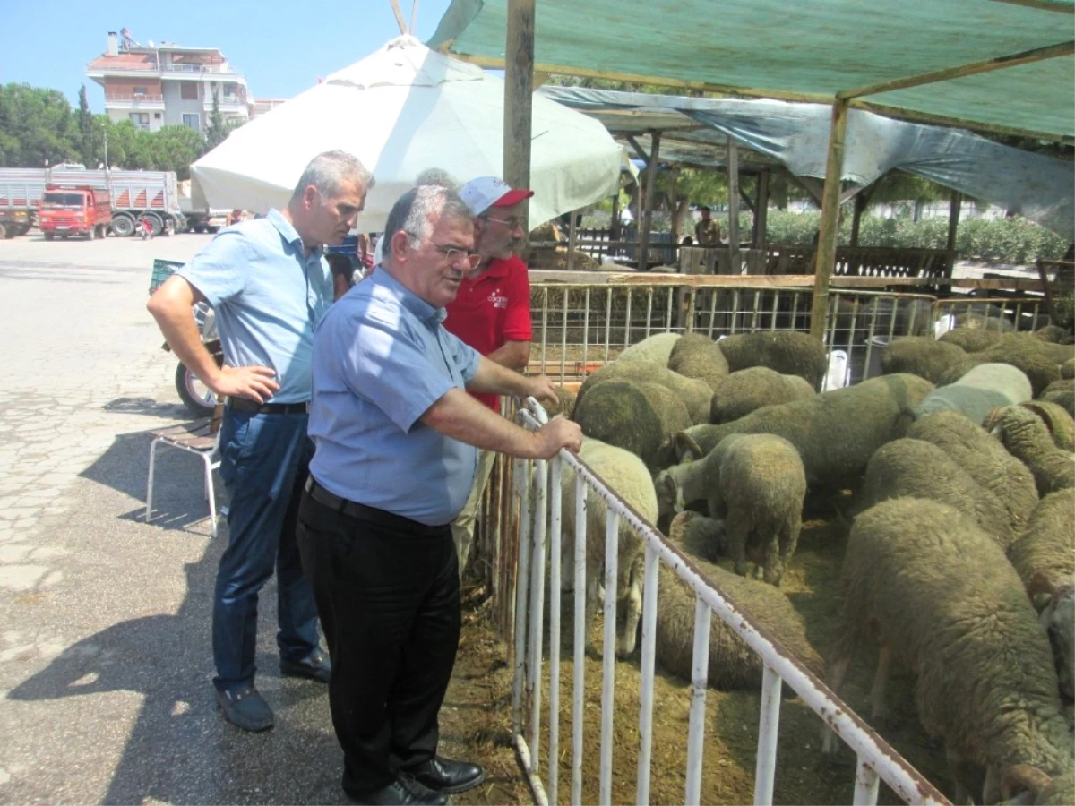 Erdek Kaymakamı Çalık: "Kurban Derilerinizi Thk\'na Bağışlayın"