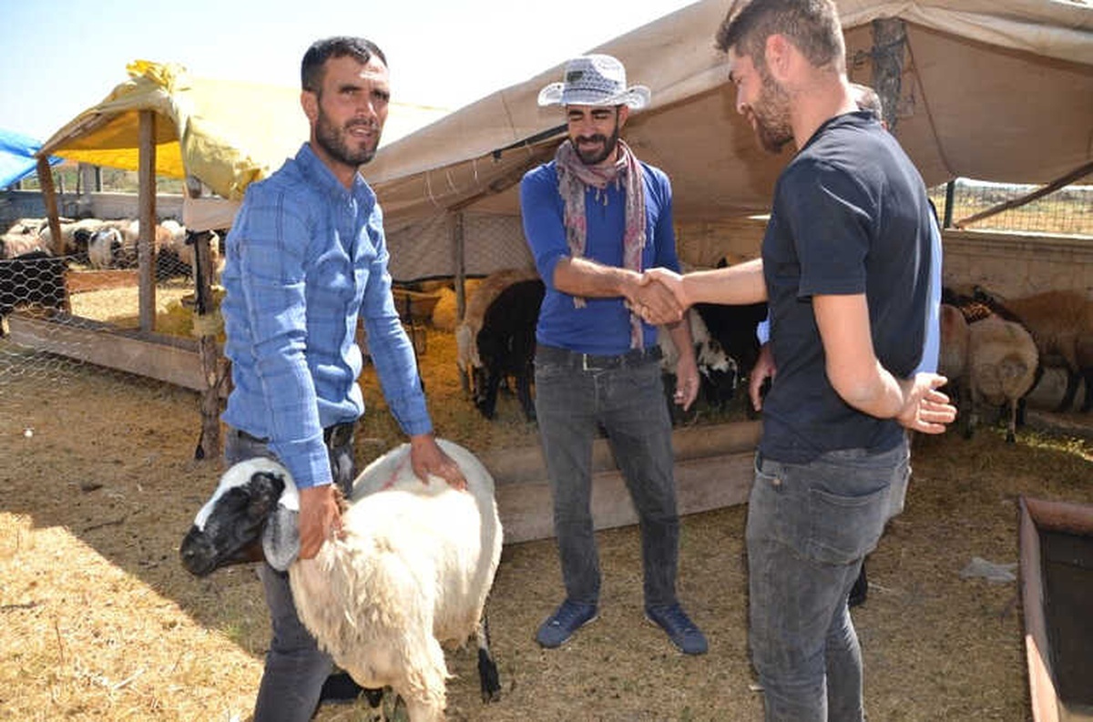 Hayvan Pazarında Yoğunluk Yaşanıyor
